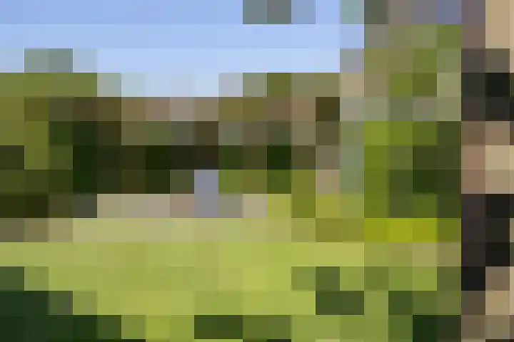 Speelveld 19 Etten-Leur thumbnail 47
