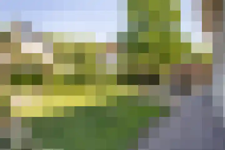 Speelveld 19 Etten-Leur thumbnail 50