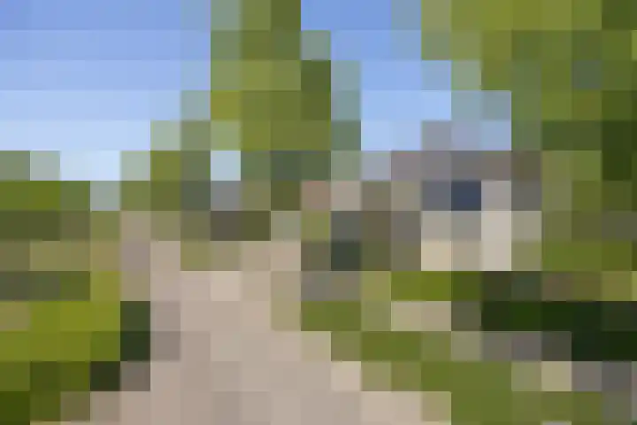 Speelveld 19 Etten-Leur thumbnail 59
