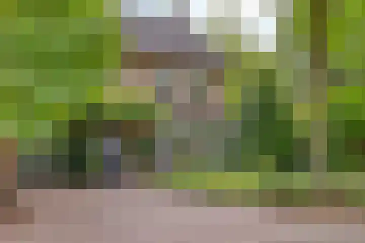 Speelweide 2 Bakel thumbnail 10