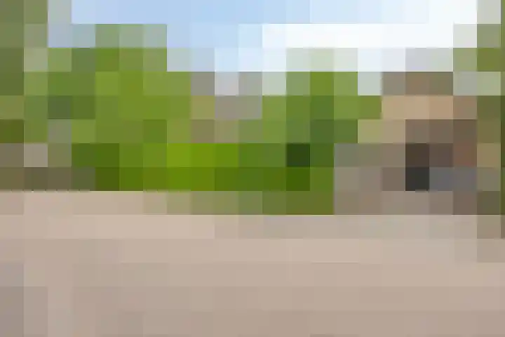 Speelweide 2 Bakel thumbnail 11