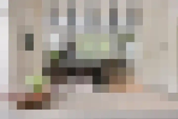 Speelweide 2 Bakel thumbnail 15