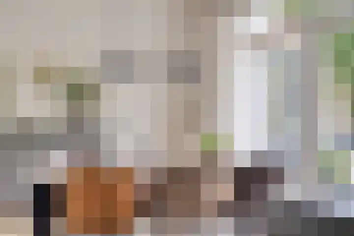 Speelweide 2 Bakel thumbnail 16