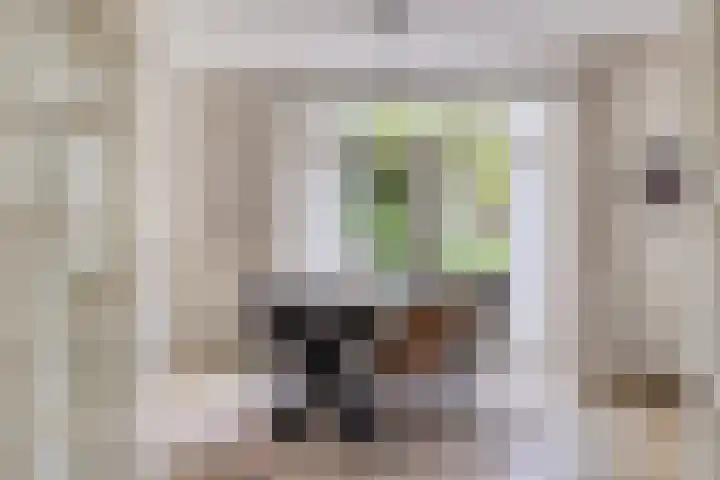 Speelweide 2 Bakel thumbnail 17