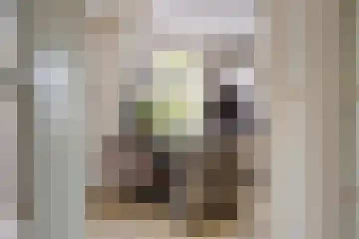Speelweide 2 Bakel thumbnail 19