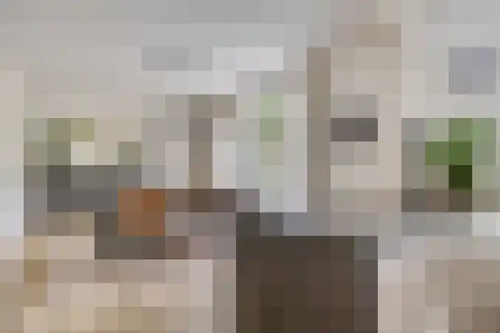 Speelweide 2 Bakel thumbnail 20