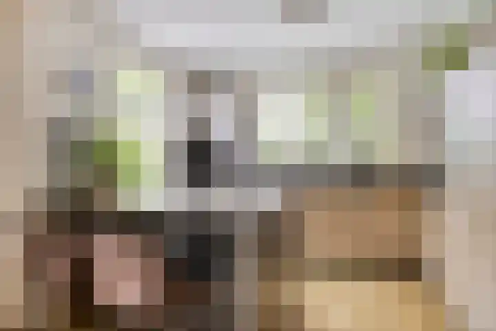 Speelweide 2 Bakel thumbnail 21