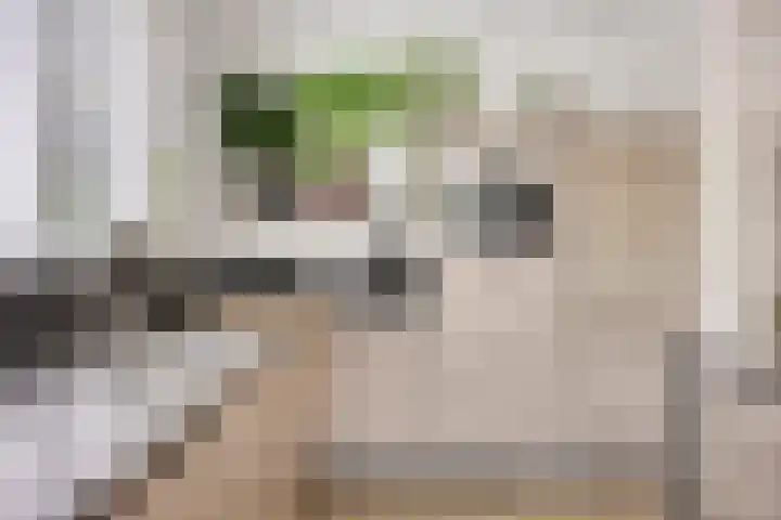 Speelweide 2 Bakel thumbnail 23
