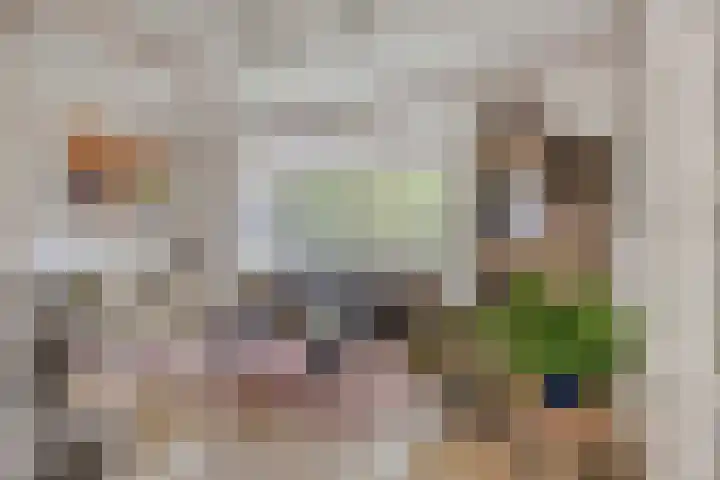 Speelweide 2 Bakel thumbnail 24