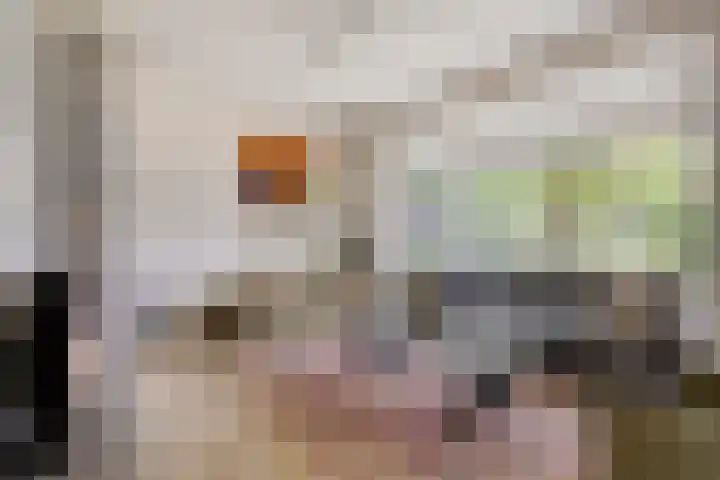 Speelweide 2 Bakel thumbnail 26