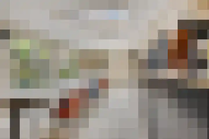 Speelweide 2 Bakel thumbnail 32