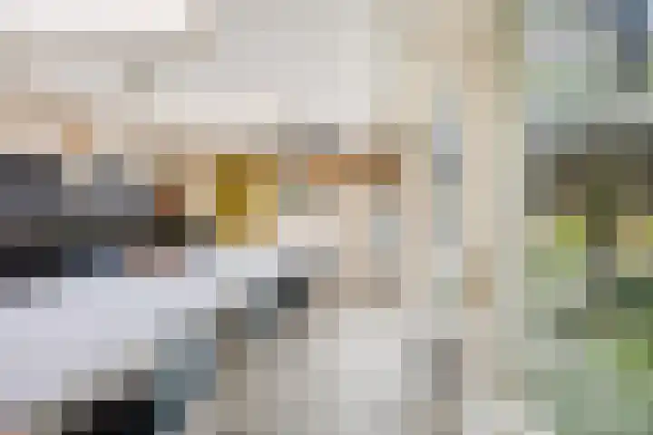 Speelweide 2 Bakel thumbnail 35
