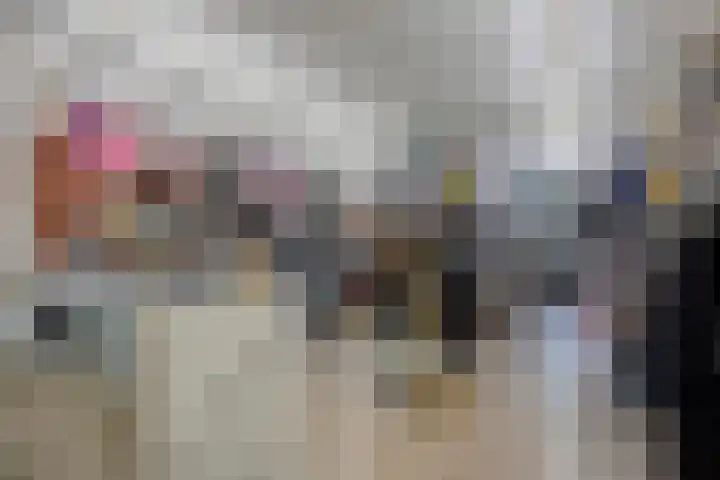 Speelweide 2 Bakel thumbnail 36
