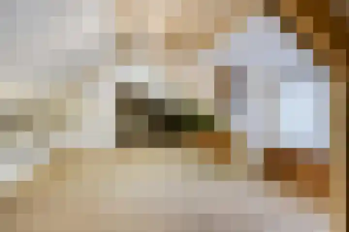 Speelweide 2 Bakel thumbnail 41