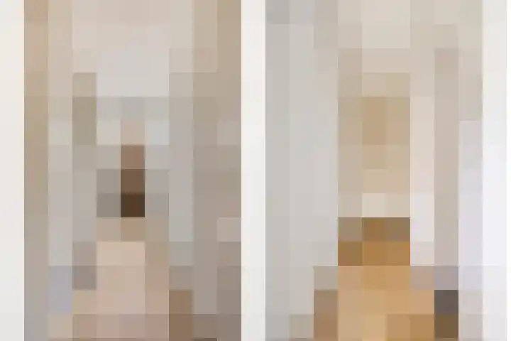 Speelweide 2 Bakel thumbnail 43