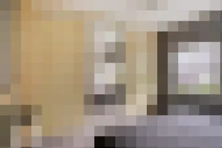 Speelweide 2 Bakel thumbnail 44