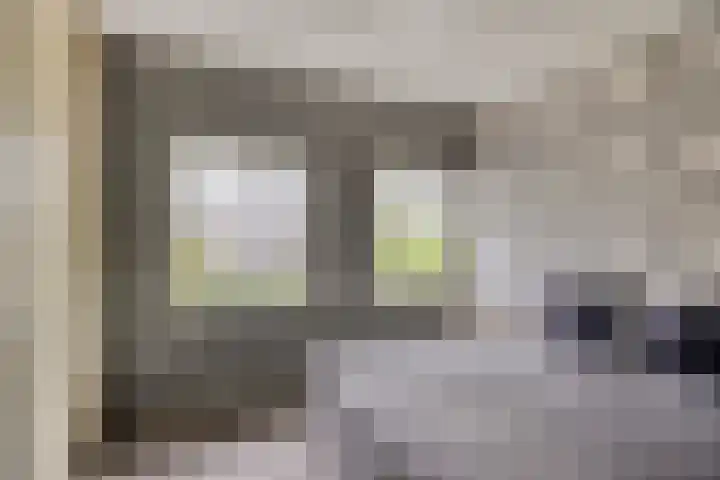 Speelweide 2 Bakel thumbnail 45