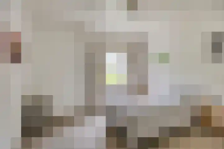 Speelweide 2 Bakel thumbnail 46