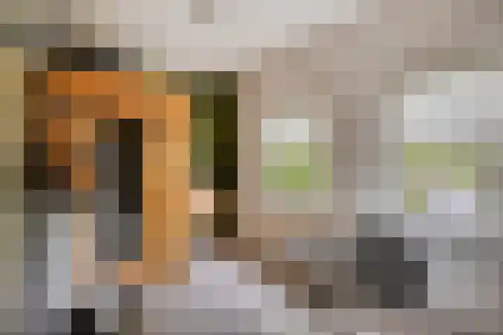 Speelweide 2 Bakel thumbnail 47