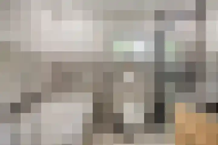 Speelweide 2 Bakel thumbnail 5
