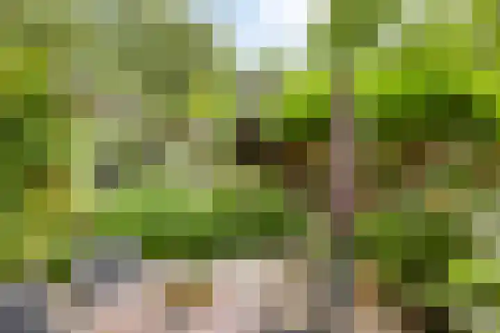 Speelweide 2 Bakel thumbnail 55