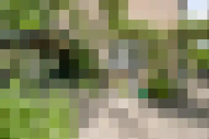 Speelweide 2 Bakel thumbnail 56