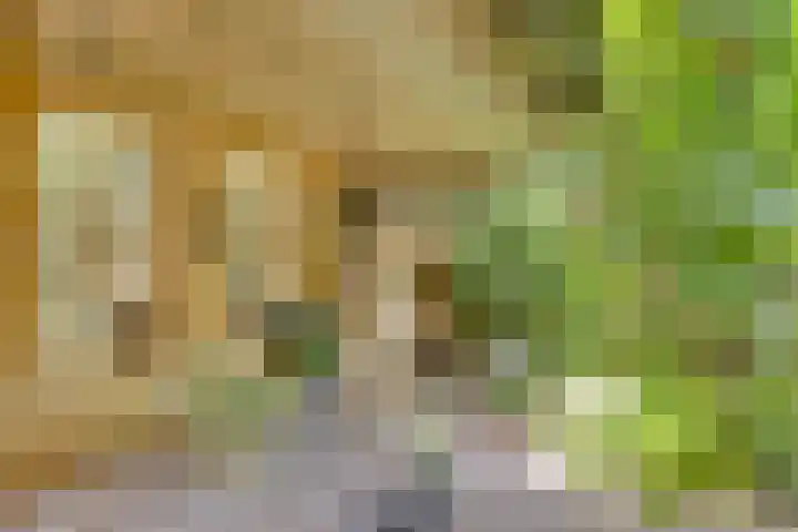 Speelweide 2 Bakel thumbnail 62