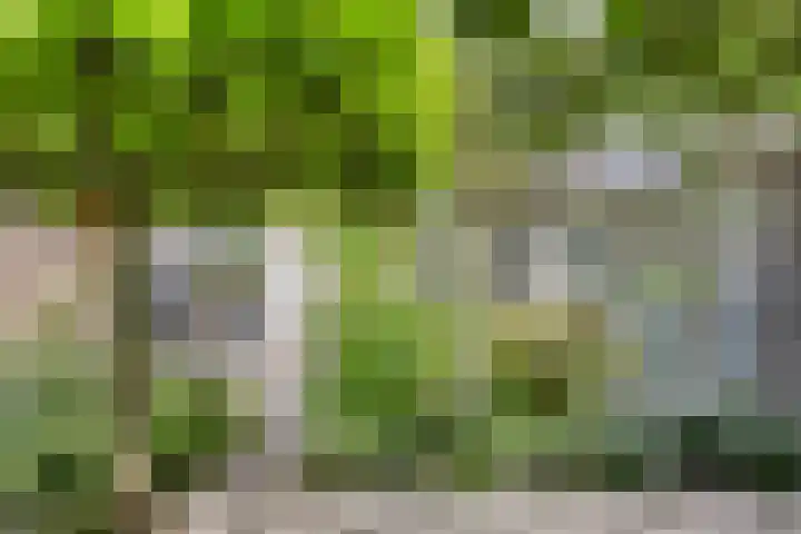 Speelweide 2 Bakel thumbnail 63