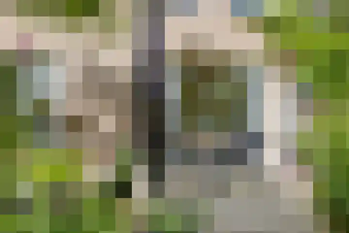 Speelweide 2 Bakel thumbnail 64