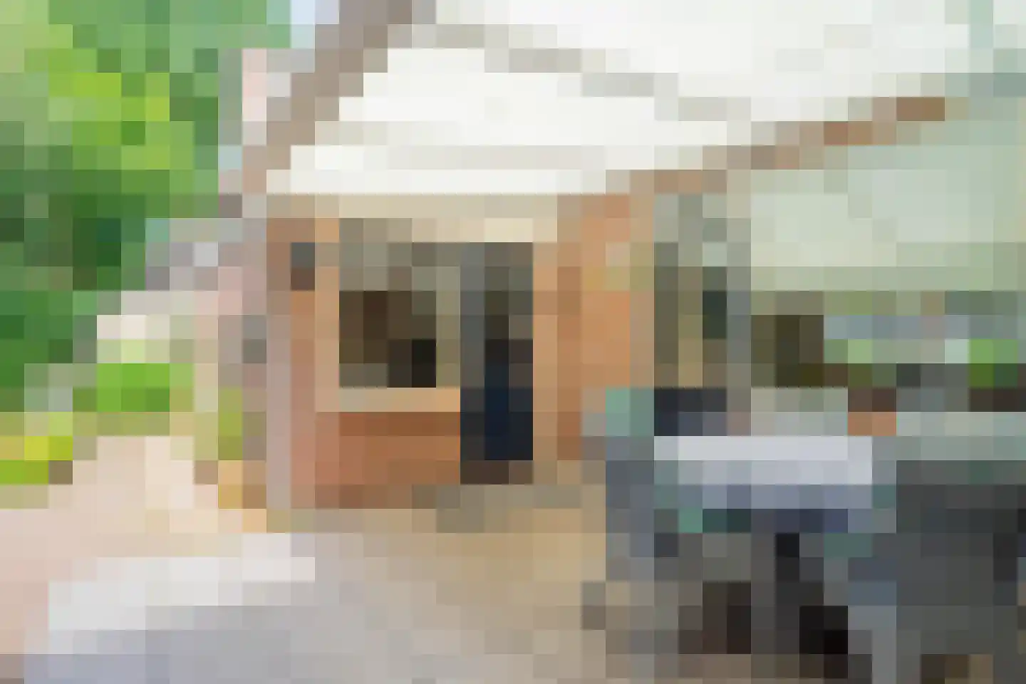 Speelweide 5 a Bakel thumbnail 41