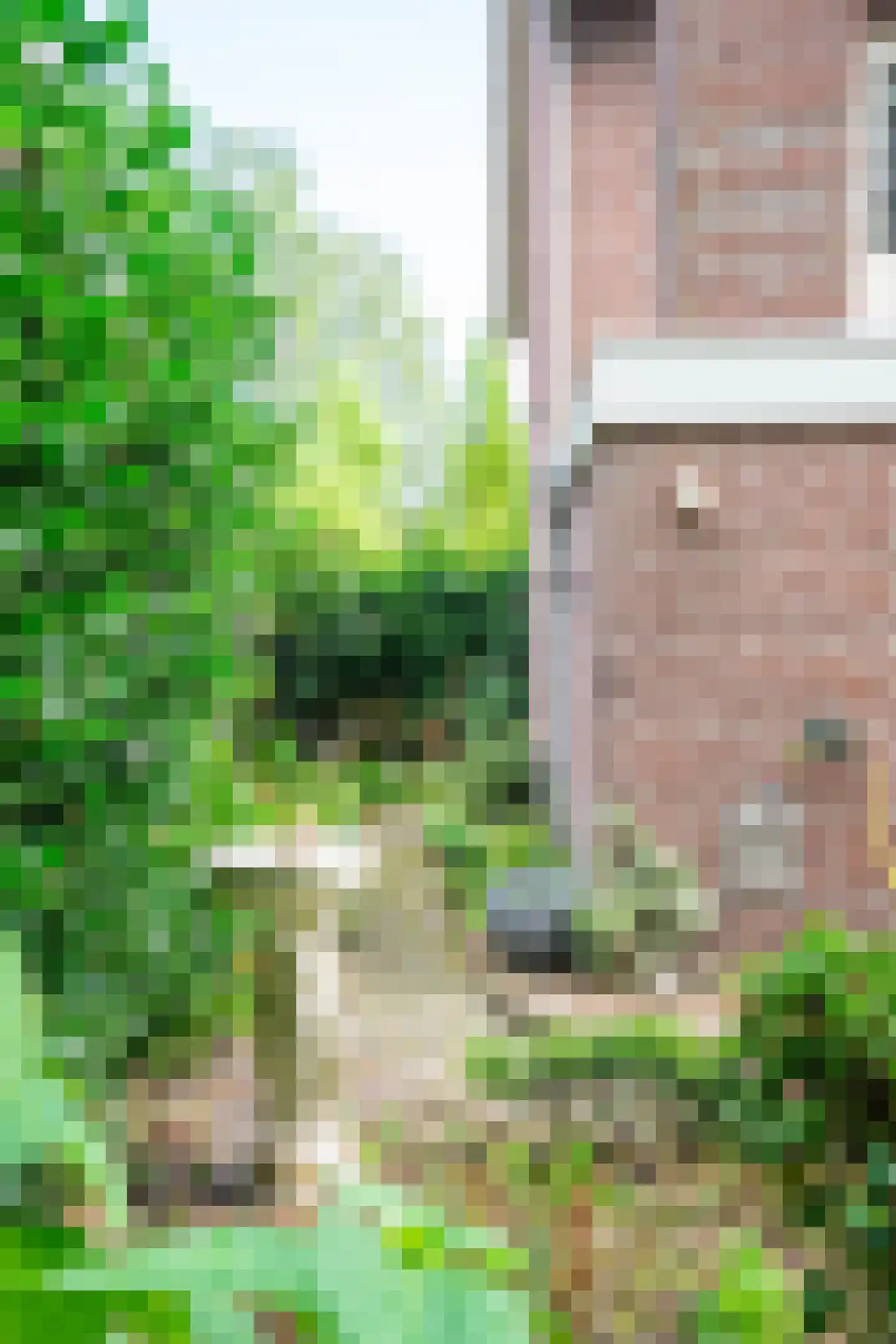 Speelweide 5 a Bakel thumbnail 46