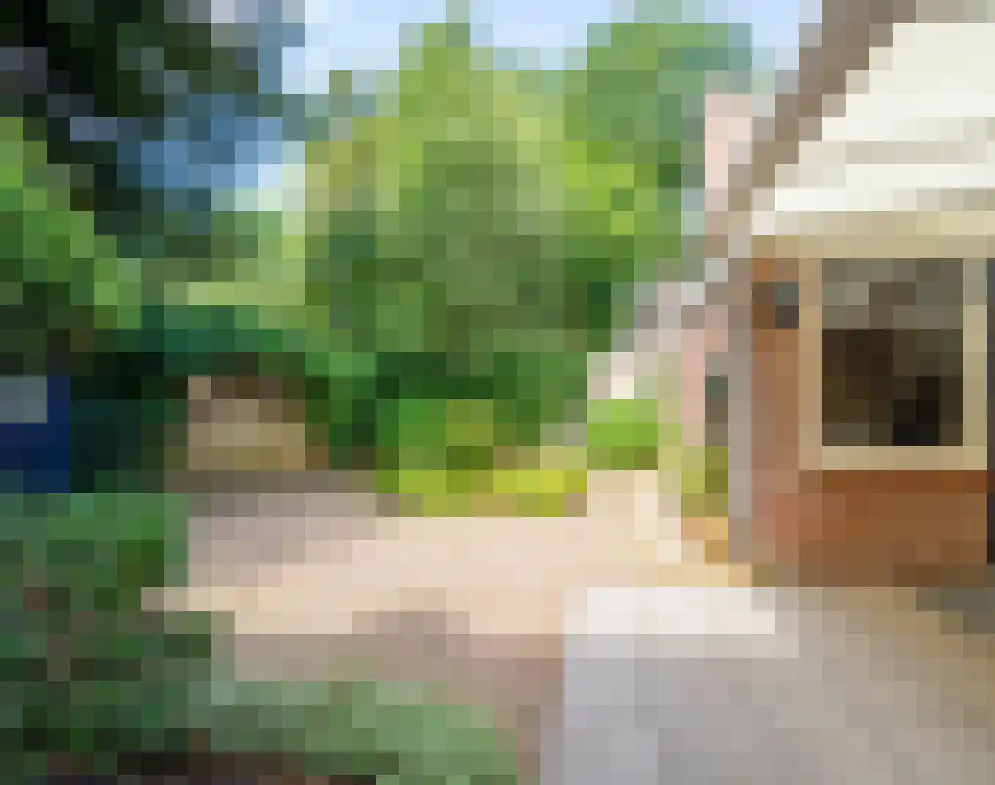 Speelweide 5 a Bakel thumbnail 47