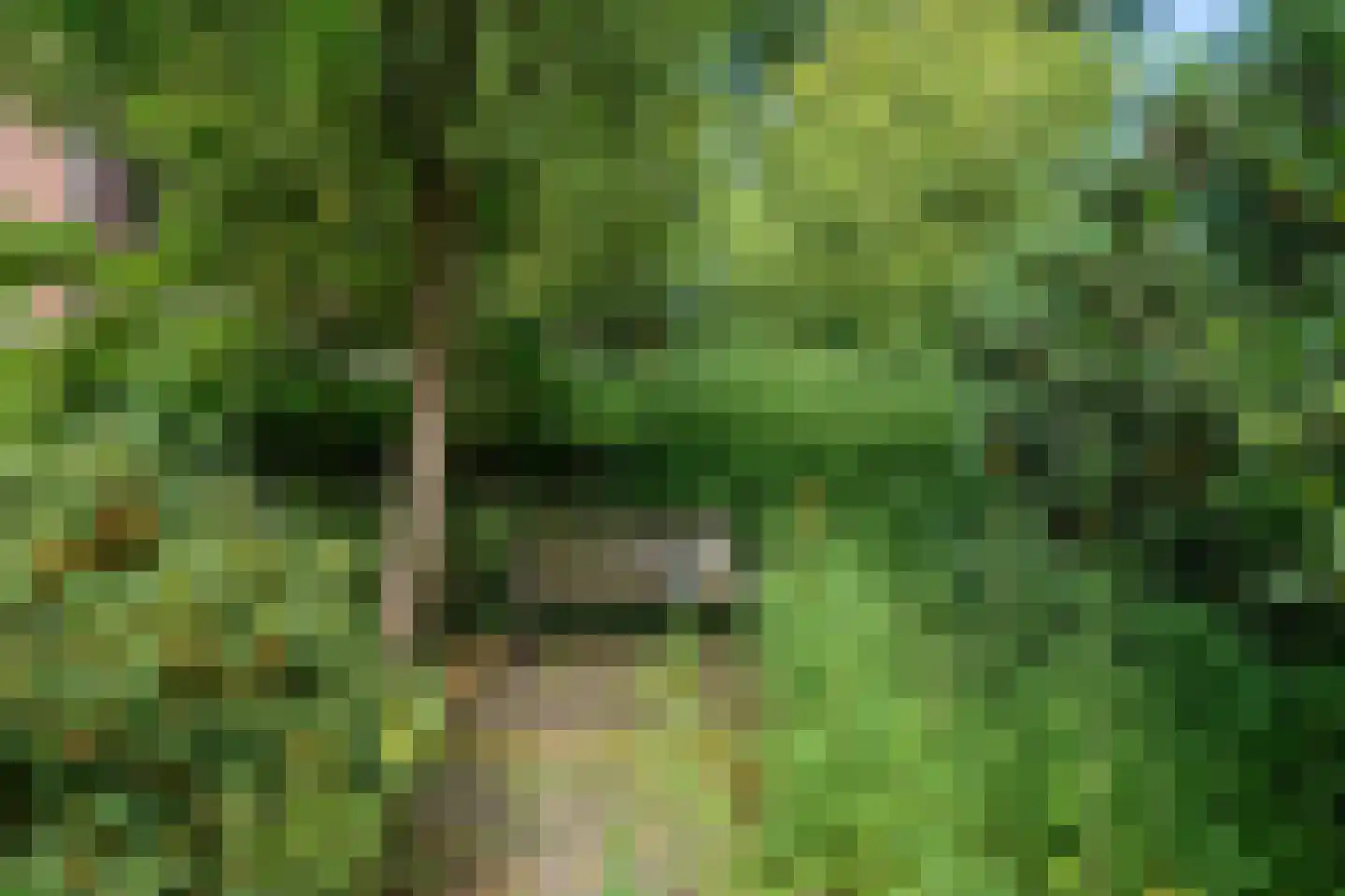 Speelweide 5 a Bakel thumbnail 48