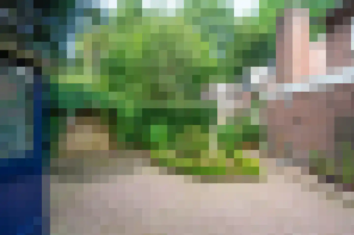 Speelweide 5 a Bakel thumbnail 50
