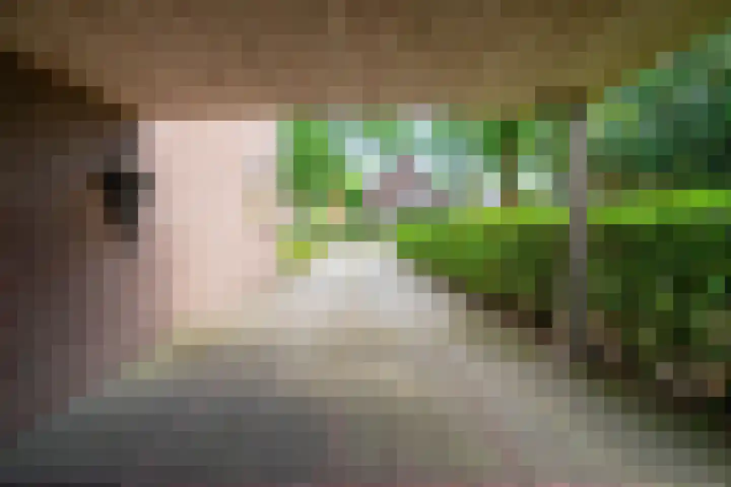Speelweide 5 a Bakel thumbnail 56