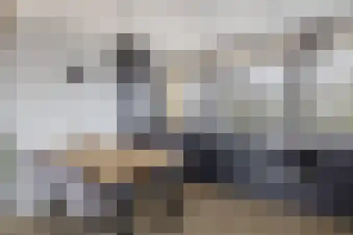 Speenhoffstraat 65 Krimpen aan de Lek thumbnail 16