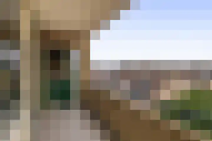 Speenhoffstraat 65 Krimpen aan de Lek thumbnail 23