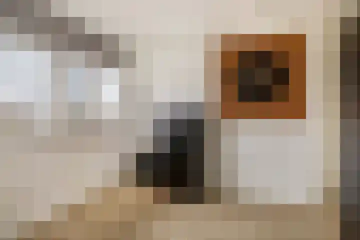 Speenhoffstraat 65 Krimpen aan de Lek thumbnail 29