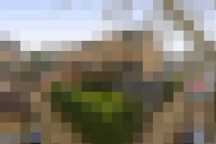 Speenhoffstraat 65 Krimpen aan de Lek thumbnail 35