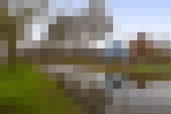 Speenhoffstraat 65 Krimpen aan de Lek thumbnail 36