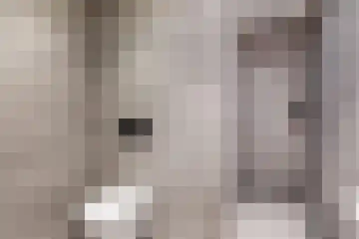 Speenhoffstraat 65 Krimpen aan de Lek thumbnail 4