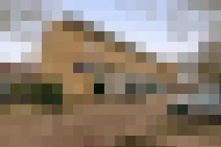 Speenhoffstraat 65 Krimpen aan de Lek thumbnail 5