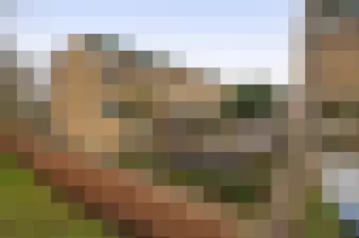 Speenhoffstraat 65 Krimpen aan de Lek thumbnail 6