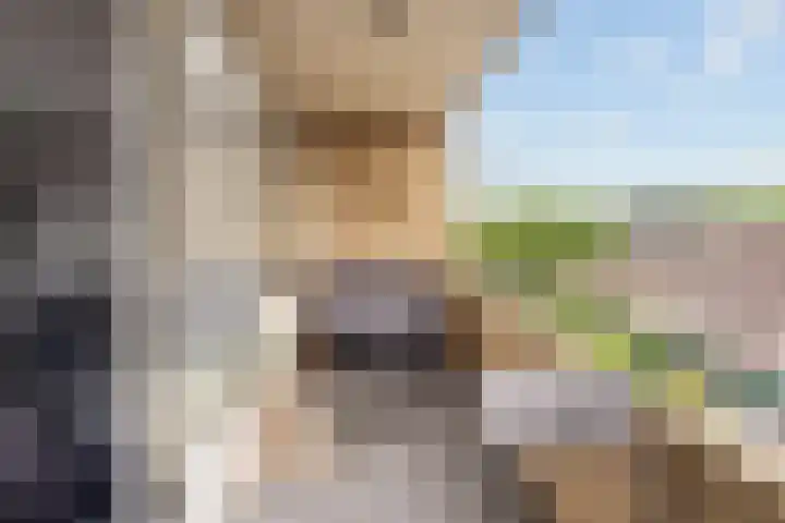 Speenhoffstraat 67 Krimpen aan de Lek thumbnail 23