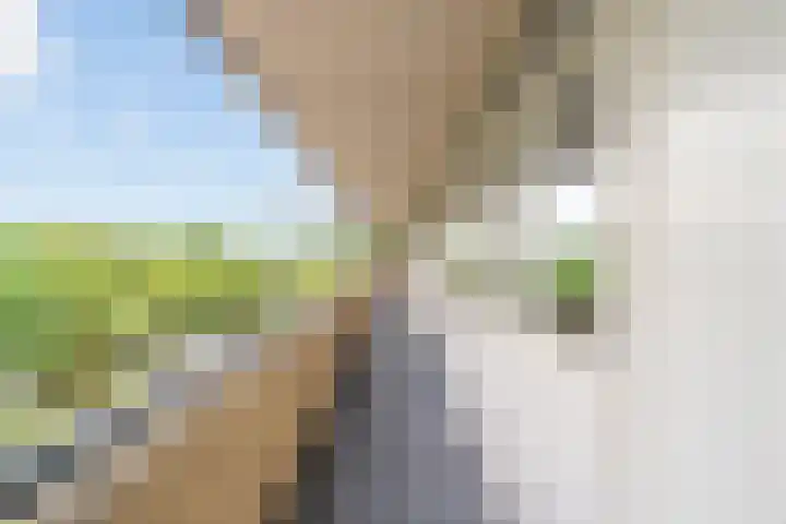 Speenhoffstraat 67 Krimpen aan de Lek thumbnail 25