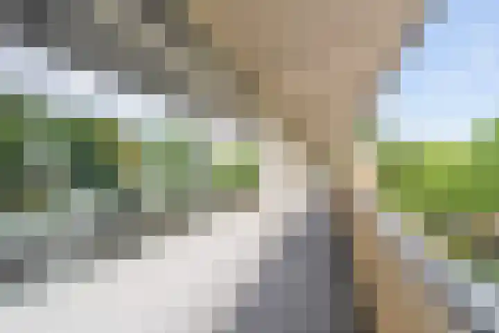 Speenhoffstraat 67 Krimpen aan de Lek thumbnail 26