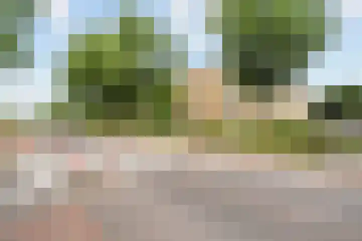 Speenhoffstraat 67 Krimpen aan de Lek thumbnail 27
