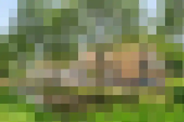 Speenhoffstraat 67 Krimpen aan de Lek thumbnail 29
