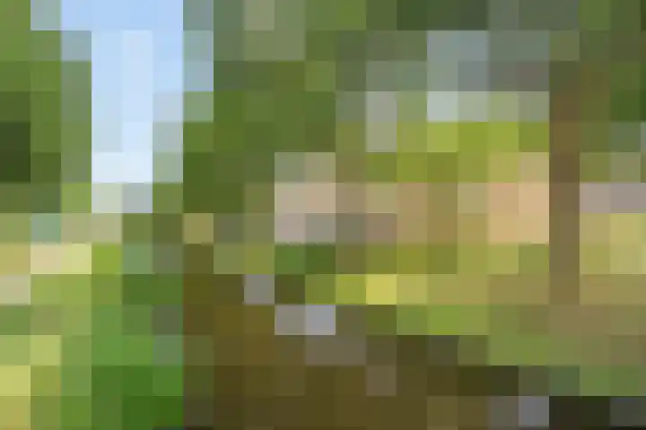 Speenhoffstraat 67 Krimpen aan de Lek thumbnail 30