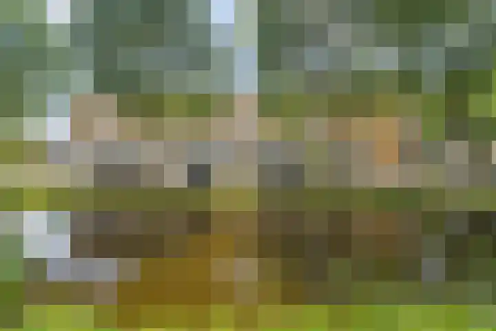 Speenhoffstraat 67 Krimpen aan de Lek thumbnail 33
